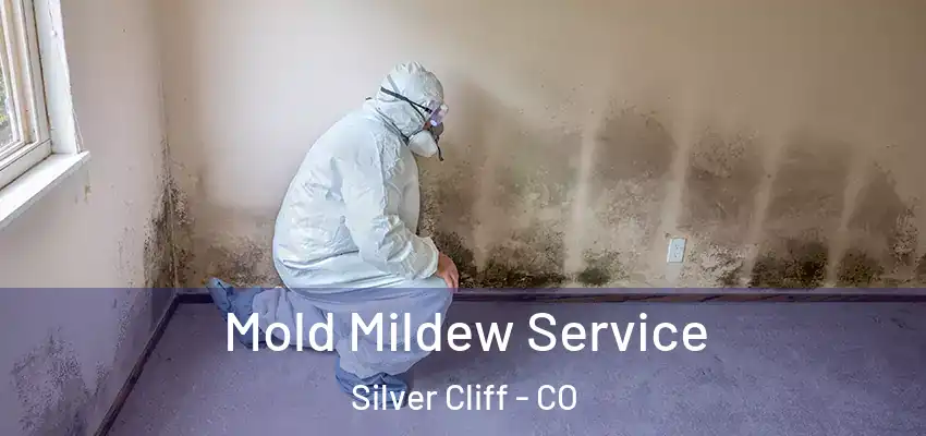 Mold Mildew Service Silver Cliff - CO