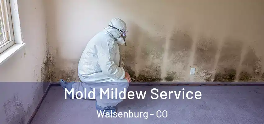  Mold Mildew Service Walsenburg - CO