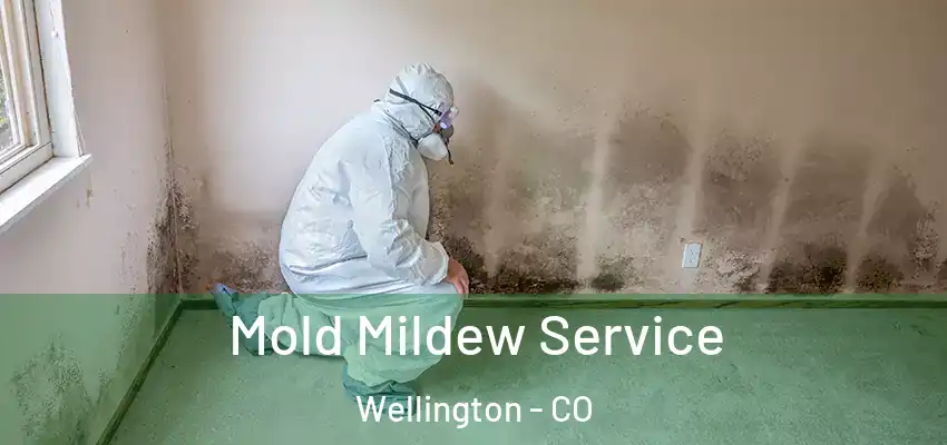  Mold Mildew Service Wellington - CO