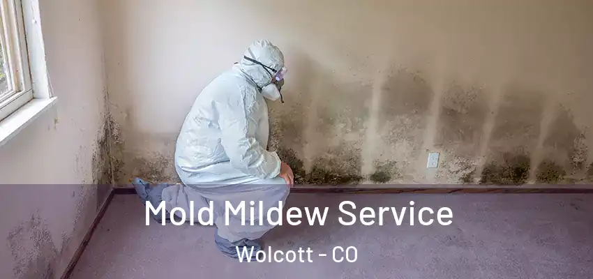 Mold Mildew Service Wolcott - CO