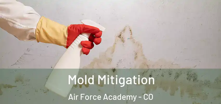  Mold Mitigation Air Force Academy - CO