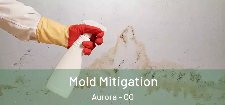 Mold Mitigation Aurora - CO