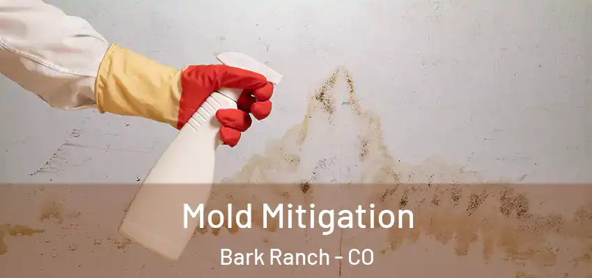  Mold Mitigation Bark Ranch - CO