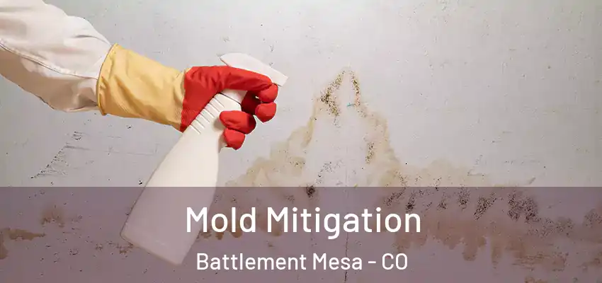 Mold Mitigation Battlement Mesa - CO