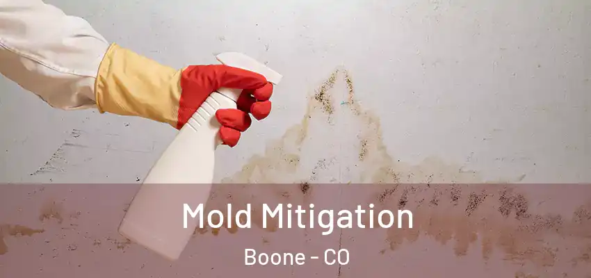  Mold Mitigation Boone - CO
