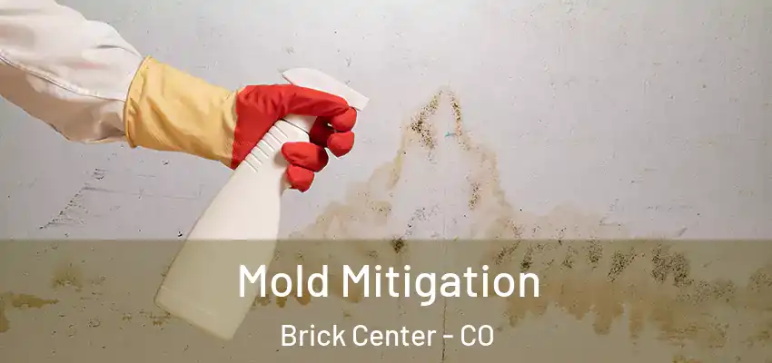  Mold Mitigation Brick Center - CO