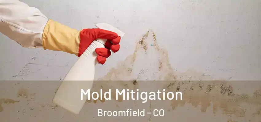 Mold Mitigation Broomfield - CO