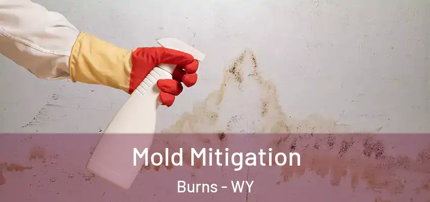 Mold Mitigation Burns - WY