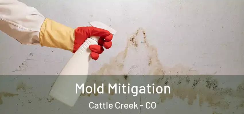 Mold Mitigation Cattle Creek - CO