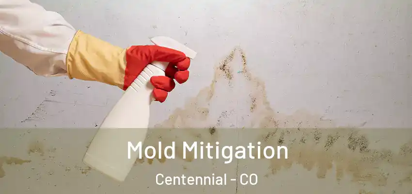 Mold Mitigation Centennial - CO