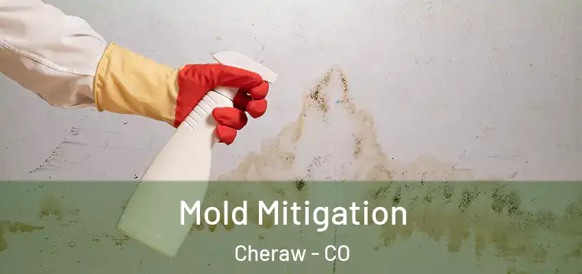  Mold Mitigation Cheraw - CO