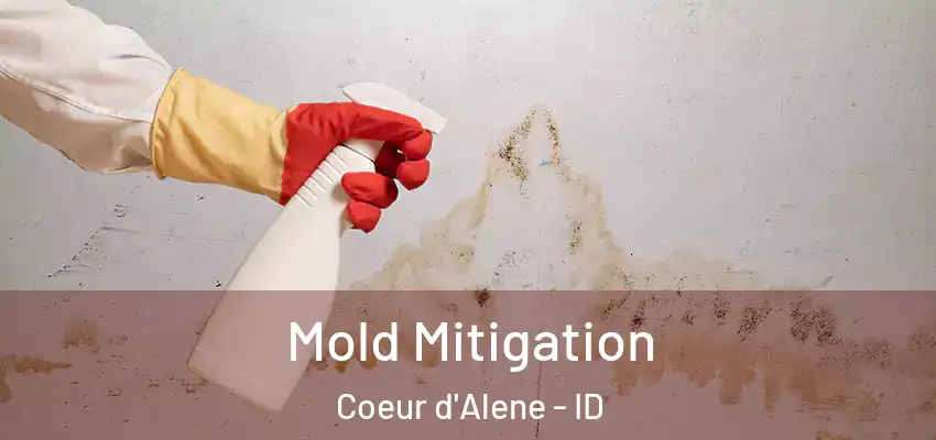 Mold Mitigation Coeur d'Alene - ID