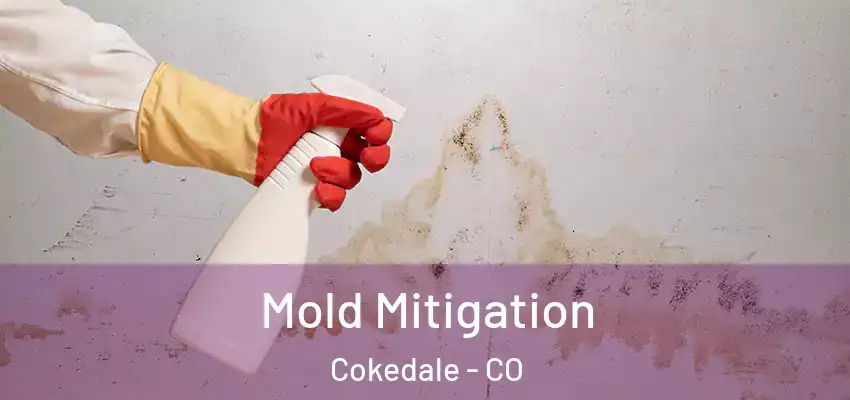 Mold Mitigation Cokedale - CO