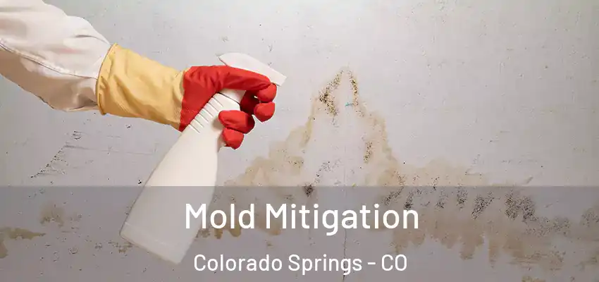  Mold Mitigation Colorado Springs - CO