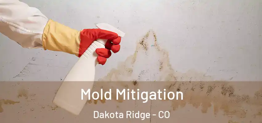  Mold Mitigation Dakota Ridge - CO