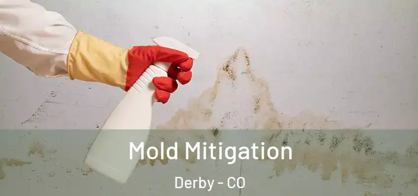 Mold Mitigation Derby - CO