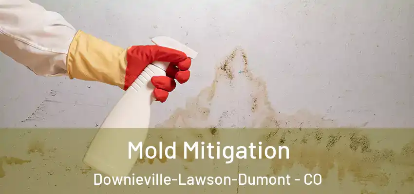  Mold Mitigation Downieville-Lawson-Dumont - CO