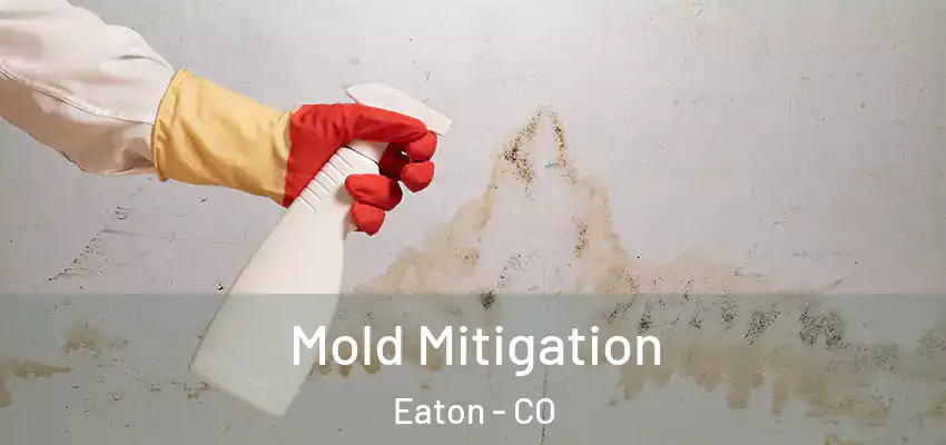 Mold Mitigation Eaton - CO