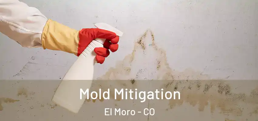  Mold Mitigation El Moro - CO