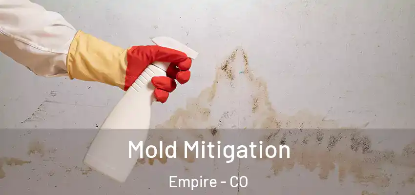  Mold Mitigation Empire - CO