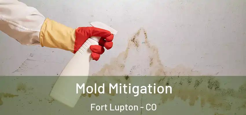  Mold Mitigation Fort Lupton - CO