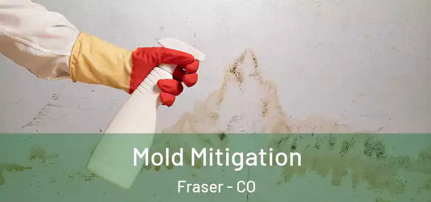  Mold Mitigation Fraser - CO