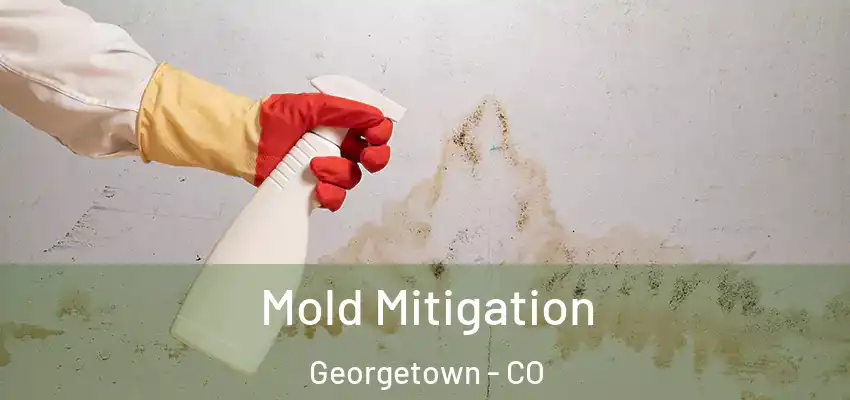  Mold Mitigation Georgetown - CO