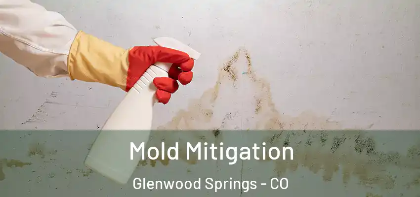  Mold Mitigation Glenwood Springs - CO