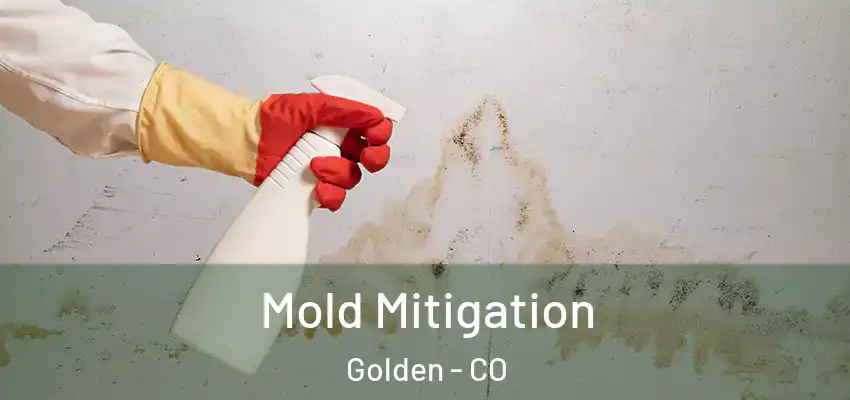  Mold Mitigation Golden - CO