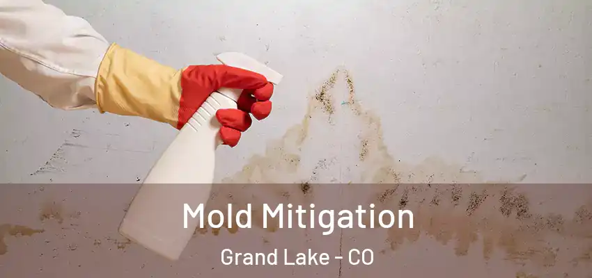  Mold Mitigation Grand Lake - CO