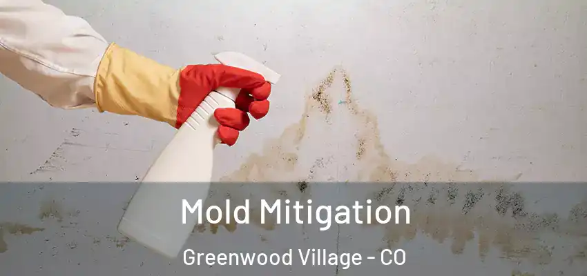  Mold Mitigation Greenwood Village - CO
