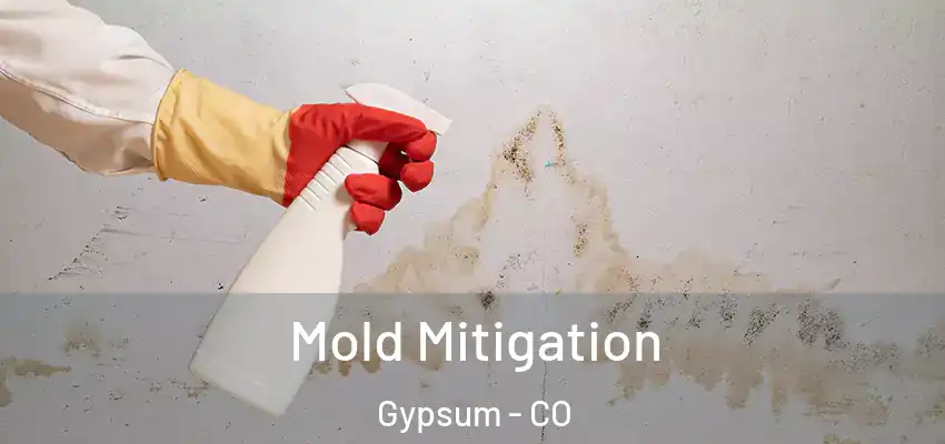  Mold Mitigation Gypsum - CO