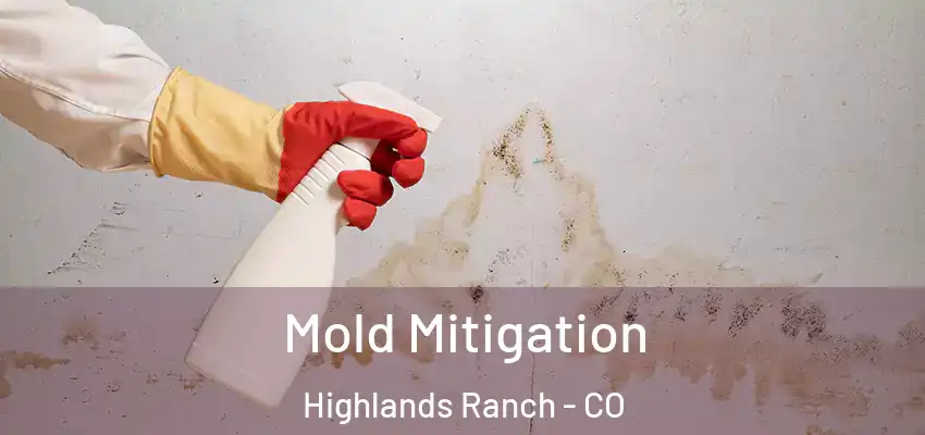  Mold Mitigation Highlands Ranch - CO