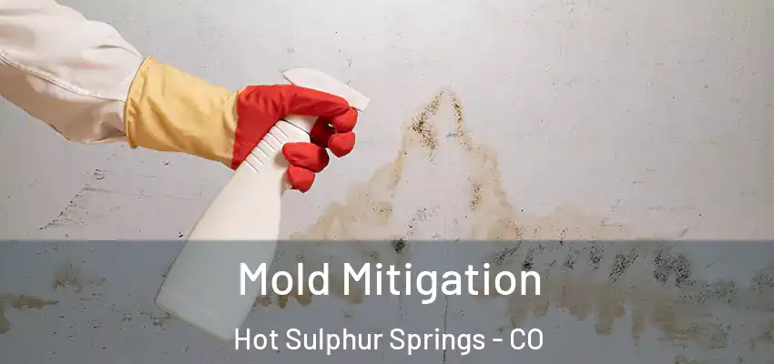 Mold Mitigation Hot Sulphur Springs - CO