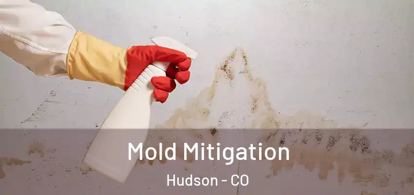 Mold Mitigation Hudson - CO