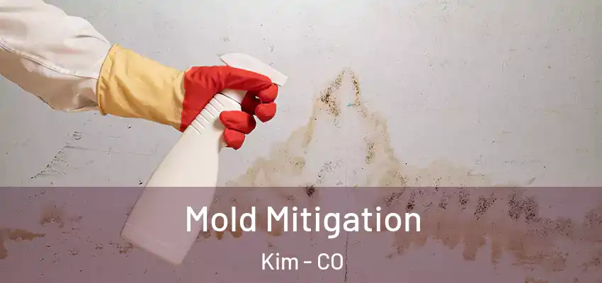  Mold Mitigation Kim - CO