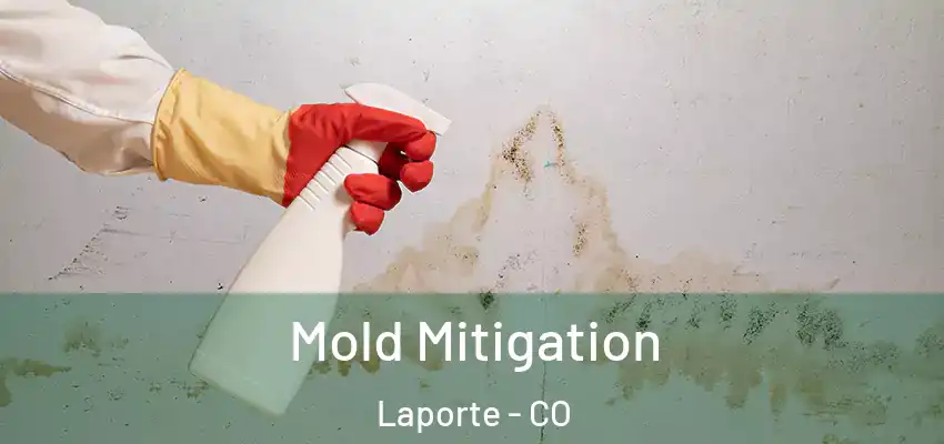  Mold Mitigation Laporte - CO