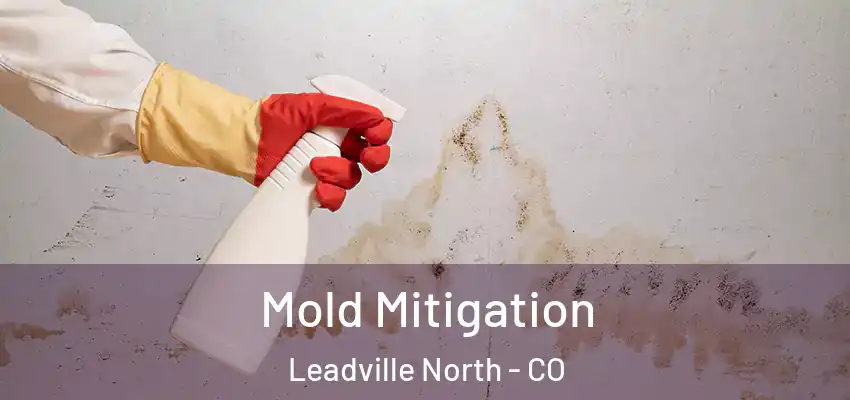 Mold Mitigation Leadville North - CO