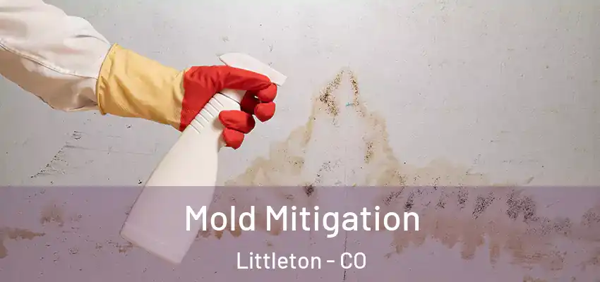  Mold Mitigation Littleton - CO