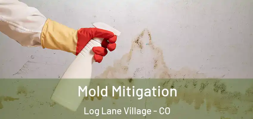  Mold Mitigation Log Lane Village - CO