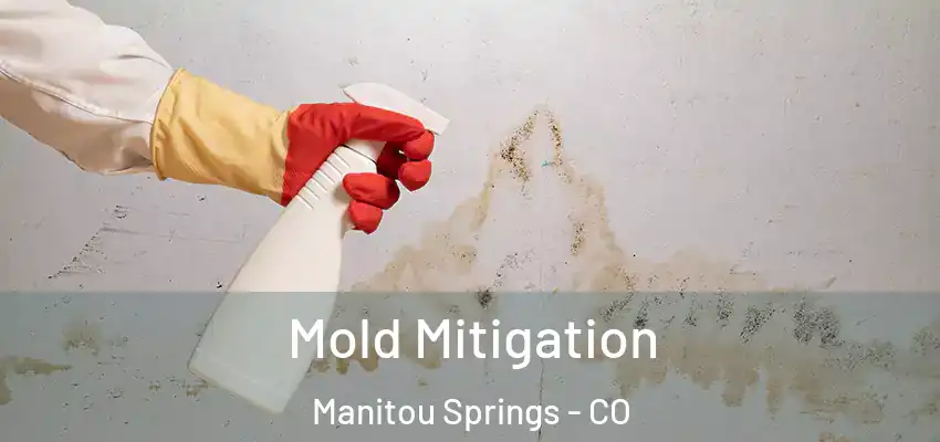 Mold Mitigation Manitou Springs - CO
