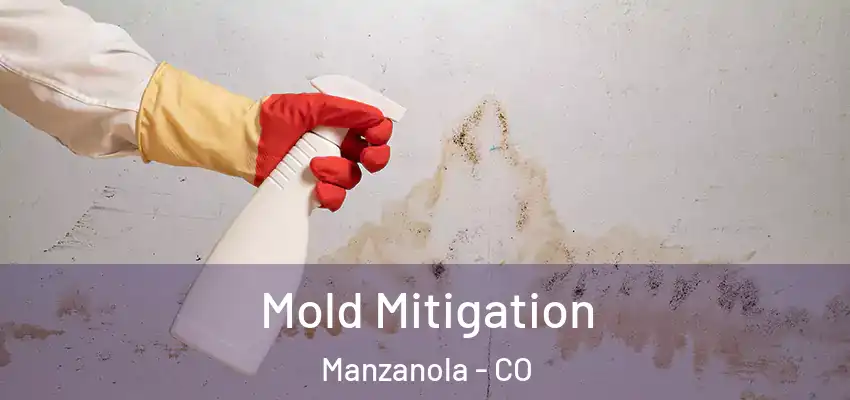  Mold Mitigation Manzanola - CO