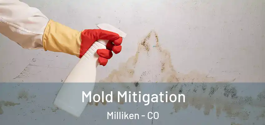  Mold Mitigation Milliken - CO