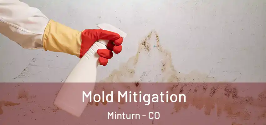  Mold Mitigation Minturn - CO