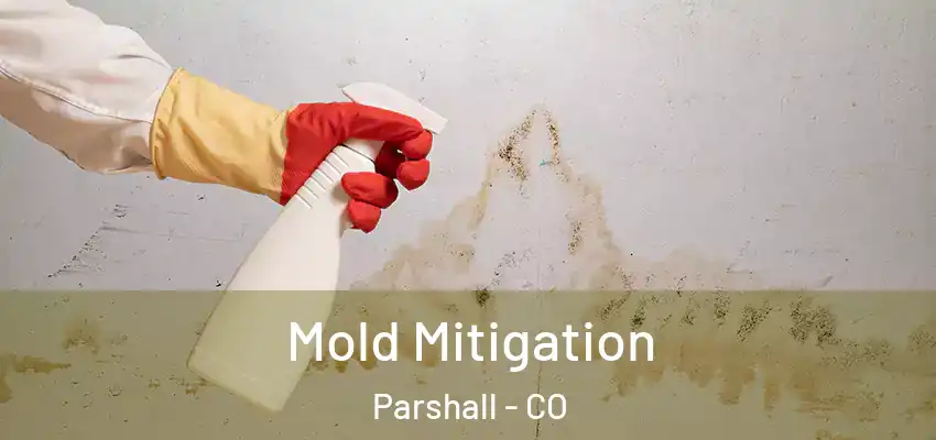  Mold Mitigation Parshall - CO