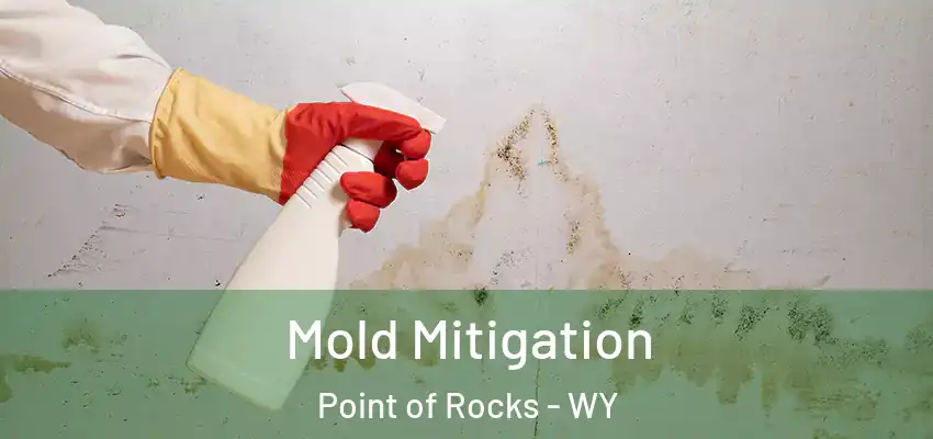  Mold Mitigation Point of Rocks - WY