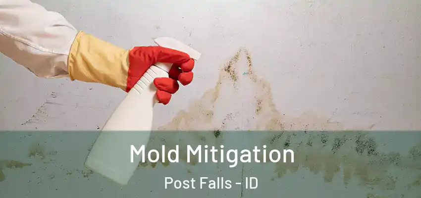  Mold Mitigation Post Falls - ID