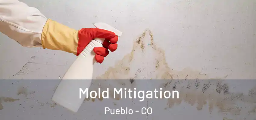 Mold Mitigation Pueblo - CO