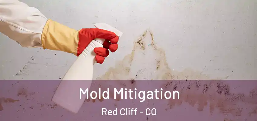  Mold Mitigation Red Cliff - CO