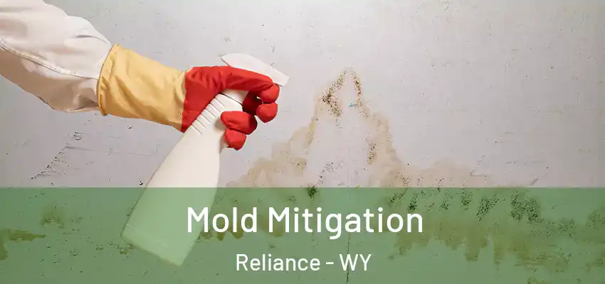  Mold Mitigation Reliance - WY